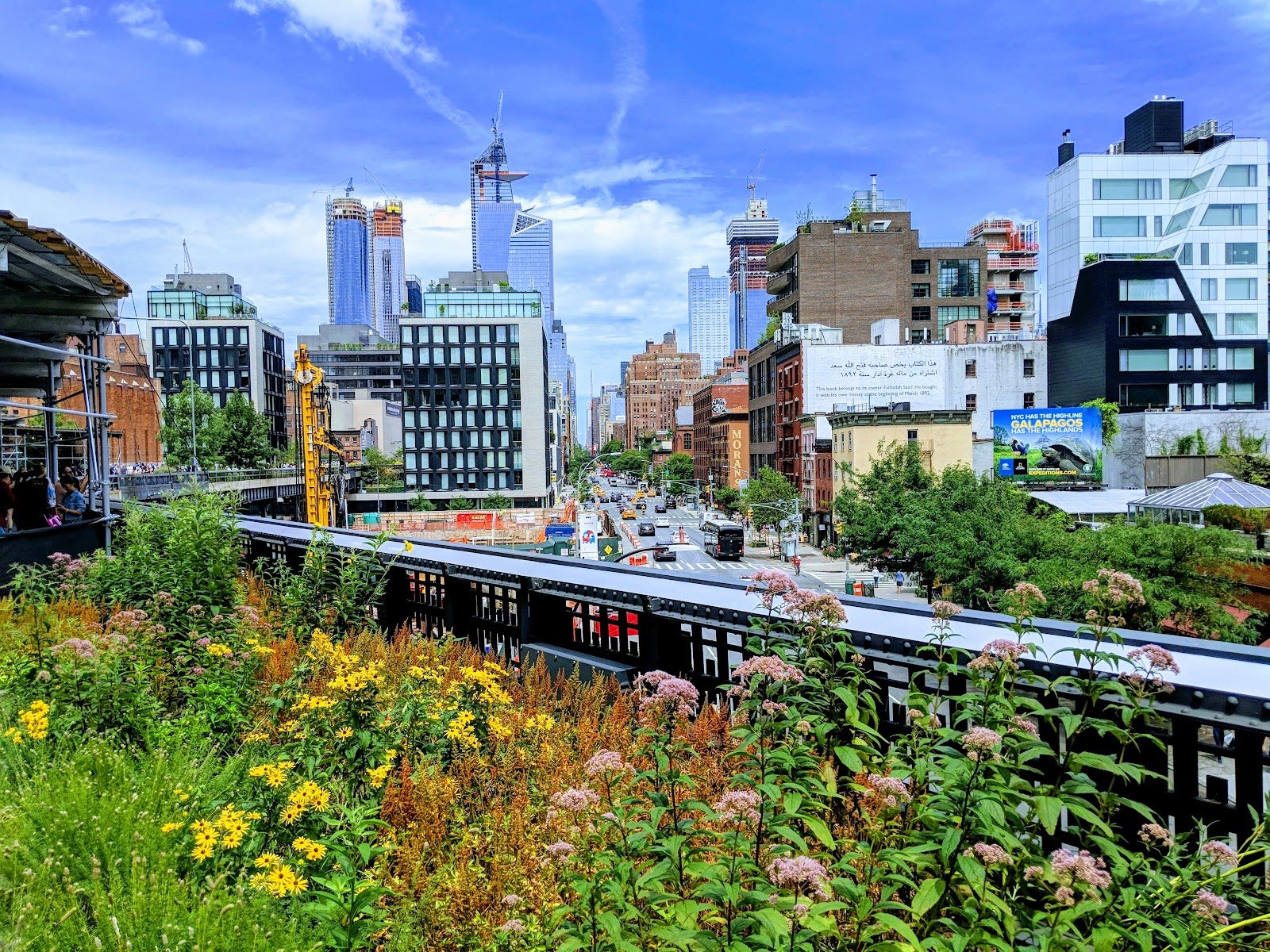 The High Line: at 7am it's a garden, by noon it's a queue